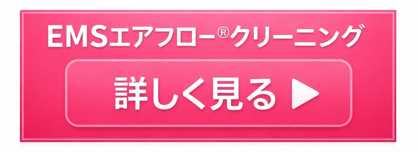 EMSエアフロー® クリーニング