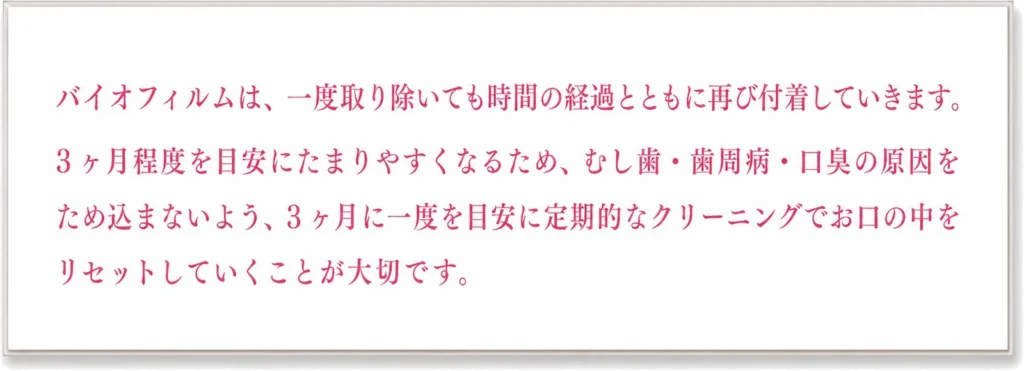 バイオフィルムは、一度取り除いても時間の経過とともに再び付着していきます。
3ヶ月程度を目安にたまりやすくなるため、むし歯・歯周病・口臭の原因をため込まないよう、3ヶ月に一度を目安に定期的なクリーニングでお口の中をリセットしていくことが大切です。